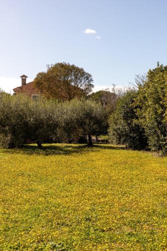 Appartamento in villa