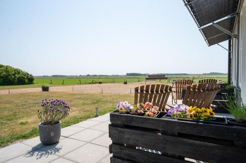 Johanneshoeve - de mooiste plek op Texel photo 2