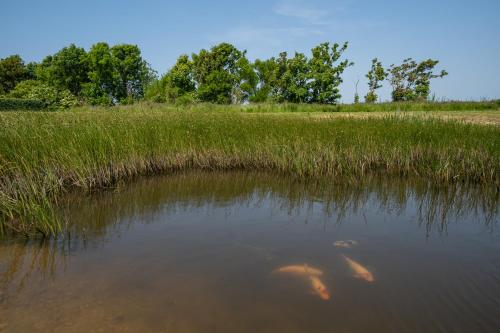 Johanneshoeve - de mooiste plek op Texel