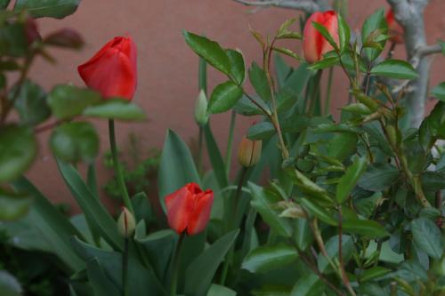 Agriturismo Cascina della Fontana - image 5