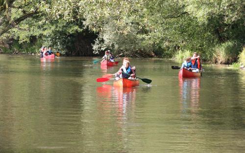 Flussnest Fulda