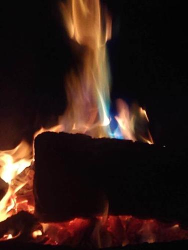 Judys Island Getaway179 - image 5
