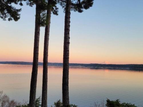 Judys Island Getaway179 - image 2