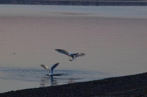 Judys Island Getaway179 - image 10