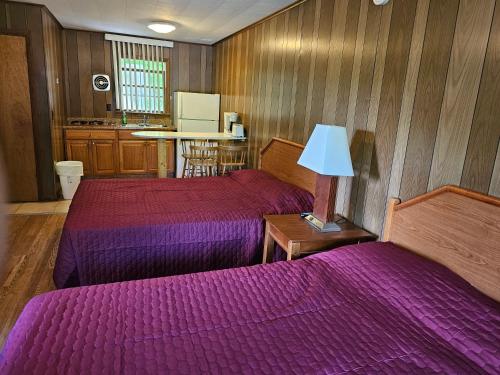 金鹰山林小屋 金鹰山林小屋