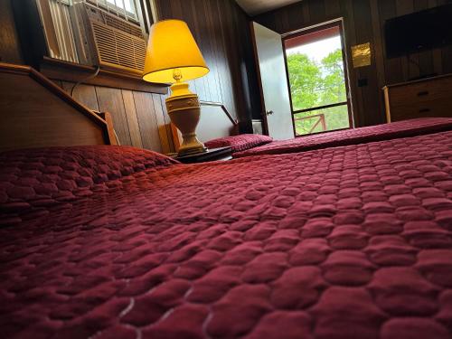 金鹰山林小屋 金鹰山林小屋