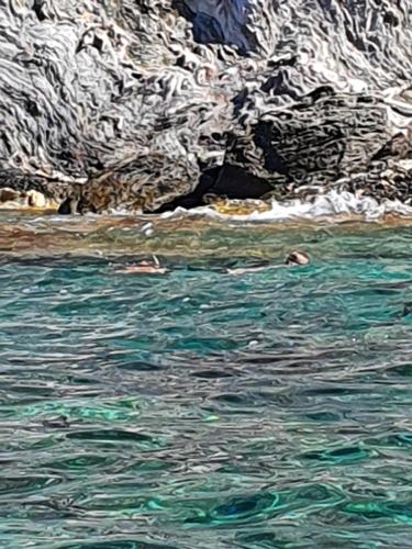 Porquerolles - Nuit insolite à bord du Défi Fou