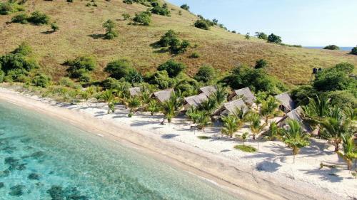 Le Pirate Island - Adults Only 5