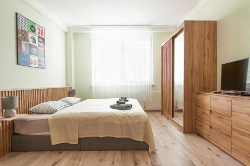 Vysoká Apartman EMF/STP, Братислава (фото 10)