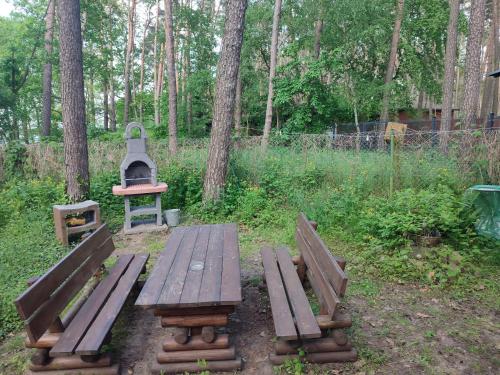 Dārzs, STONKA NA SKARPIE in Boszkowo- Letnisko