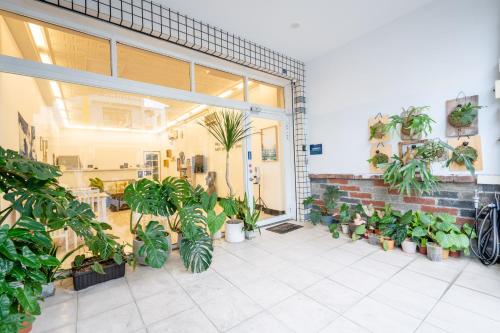 View, UTOPIA Hostel in Taitung