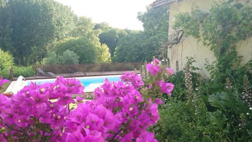 La Colline de Tilleul - De La Colline - Beautiful Cottage Near Aubeterre