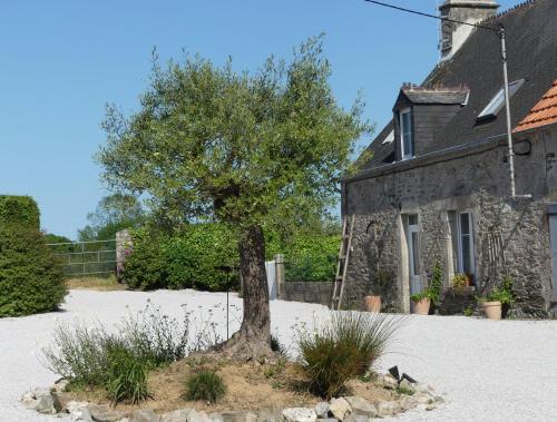 Ode à la nature - Location saisonnière - Le Vast