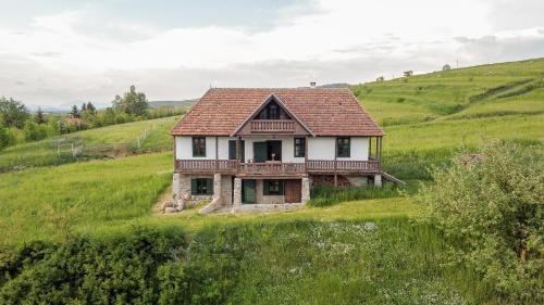 Hillside View Cottage - Csíksomlyó-panoráma vendégház - Accommodation - Păuleni-Ciuc