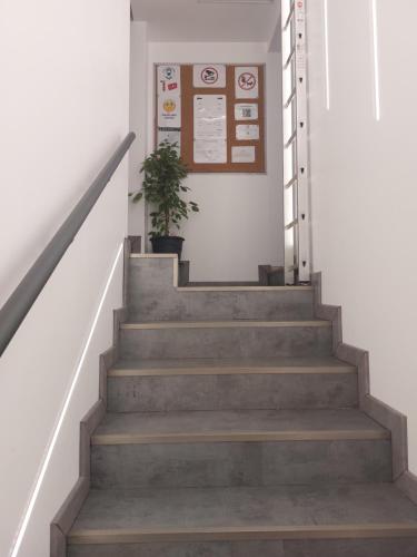 NancyRoom in Vandoeuvre-les-Nancy