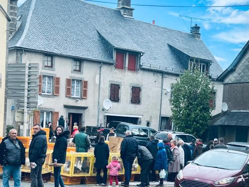 Appartement Dans un village en Auvergne sancy