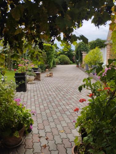 ルーダースドルフ Haus Maria 3つ星 ゲストハウス スイート