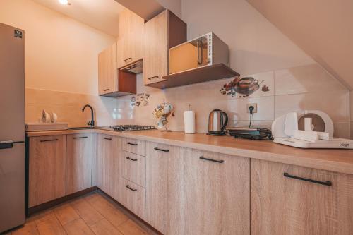 Pokoje gościnne U Semlów (Pokoje goscinne U Semlow) in 班斯卡维兹纳