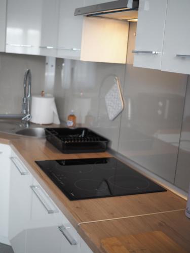 Køkken, Energylandia Zator noclegi apartament pokoje do wynajęcia (Energylandia Zator noclegi apartament pokoje do wynajecia) in Grojec