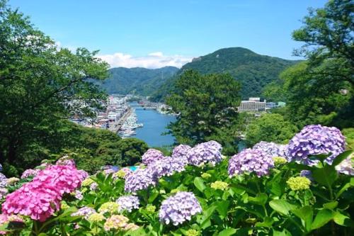 Nearby attraction, 三丁庵ゲストハウス 水質AAビーチまで徒歩15分ペリーロードまで徒歩5分最高なロケーション 下田を遊び尽くせるゲストハウス 無料駐車場もありますJapanese old style g in Izu