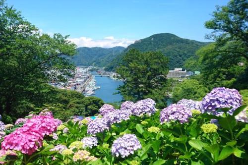 三丁庵ゲストハウス 紫陽花祭り会場まですぐ 観光地ペリーロードまですぐの最高なロケーション 下田を遊び尽くせるゲストハウス 無料駐車場もありますJapanese old style guest house that close to Perry road We have long stay plan