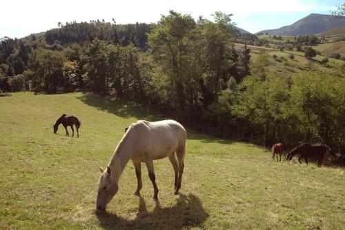 LA CASUCA in Arenas De Iguna