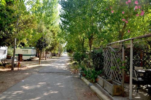 Campeggio Villaggio Sos Flores - image 4
