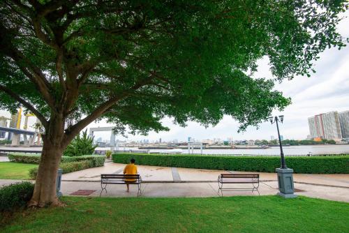 Catory River View