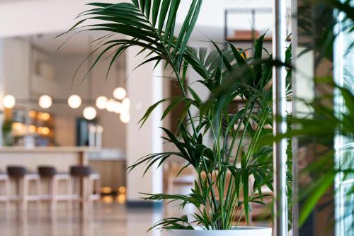 Checkin Antequera - image 9