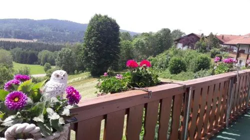 Ferienwohnung-Panoramablick -4 in Bodenmais, Deutschland