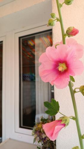 Apartments Sipcic - image 12