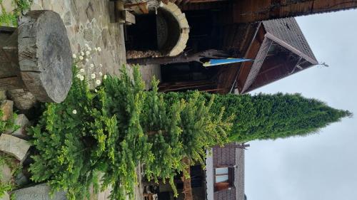 Muzey-sadyba Grazhda - image 5