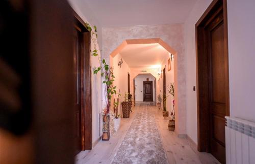 Casa Isabela in Putna