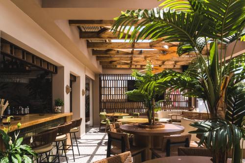 Restaurant, Canadian Hotel in Zakynthos Island