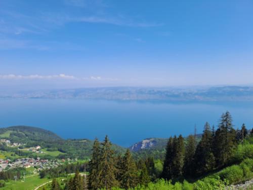 Studio entre Lac et Montagnes Evian - Lugrin