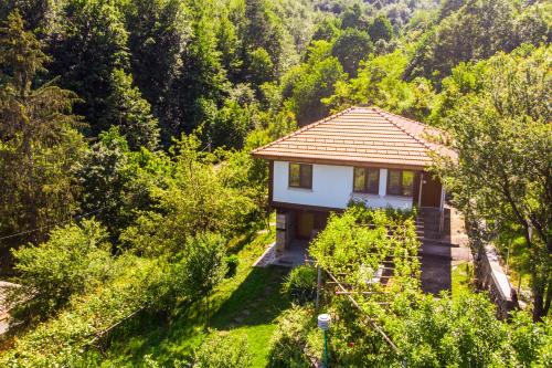 Holiday Home Lyubovo