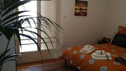 Rooms in Central Athens, Atenas (foto 6)