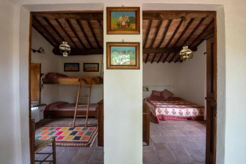 Villa in Toscana - traditional tuscan house