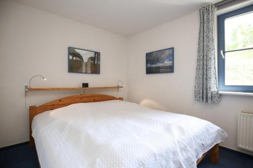 Apartment with Terrace image 8