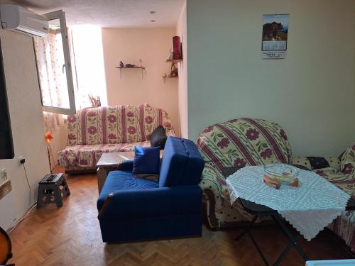 Apartment Shine