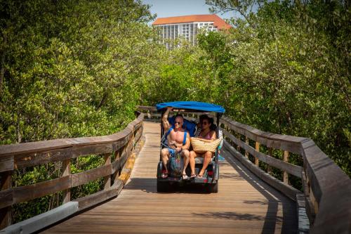 Naples Grande Beach Resort - image 10