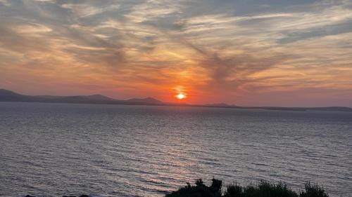 Ines’s Dream Ines’s Dream