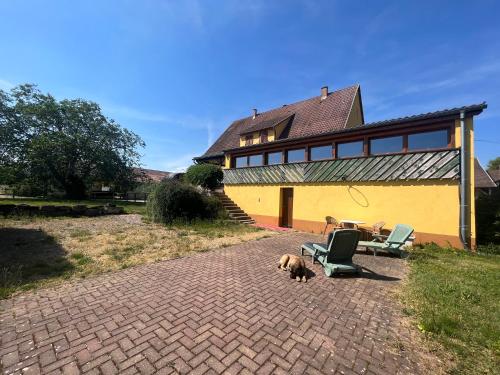 Gîte aux écuries Cerio - Apartment - Saint-Hippolyte