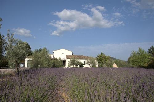 Villa Otilia-Bed and Breakfast-Chambres d'hôtes en Provence