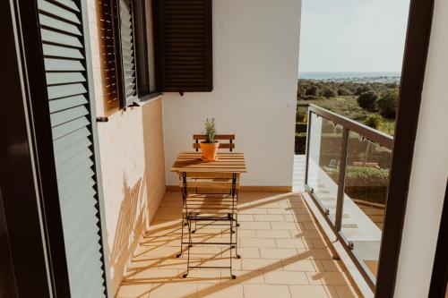 Edition Albufeira / Stargazing terrace + Pool