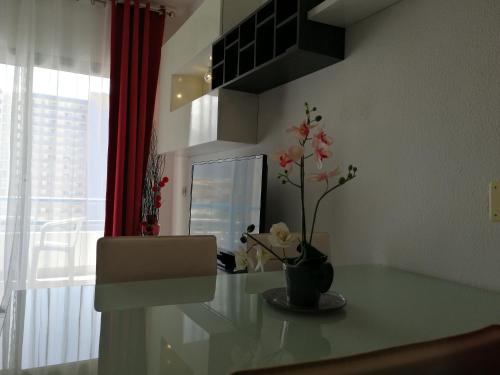 Amplio apartamento 1 dormitorio - Playa Paraiso