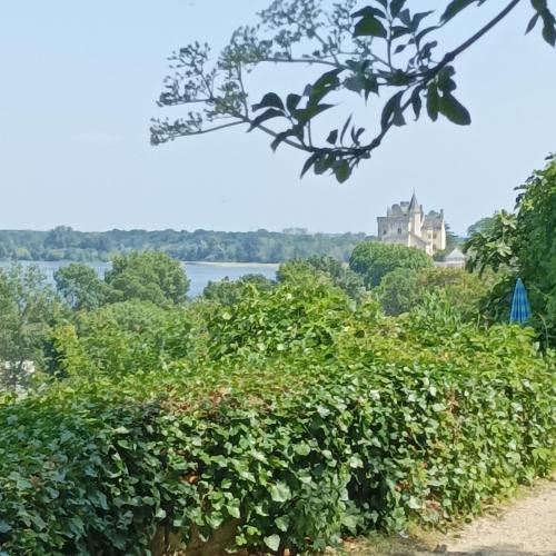 Gite des Perreyeurs - maison troglodyte avec vue sur Loire