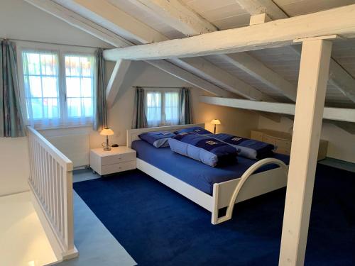 Casa Larisch in Sedrun, Schweiz
