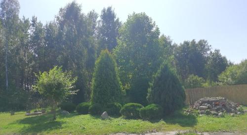 Сад, Leśny Apartament I (Lesny Apartament I) in Щитно