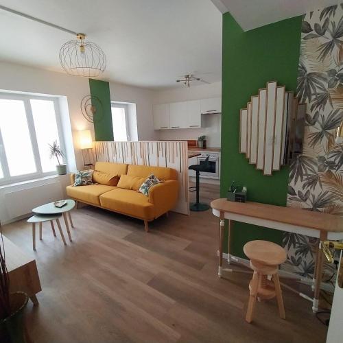 Magnifique T3 centre ville avec WIFI RDC - Apartment - Limoux